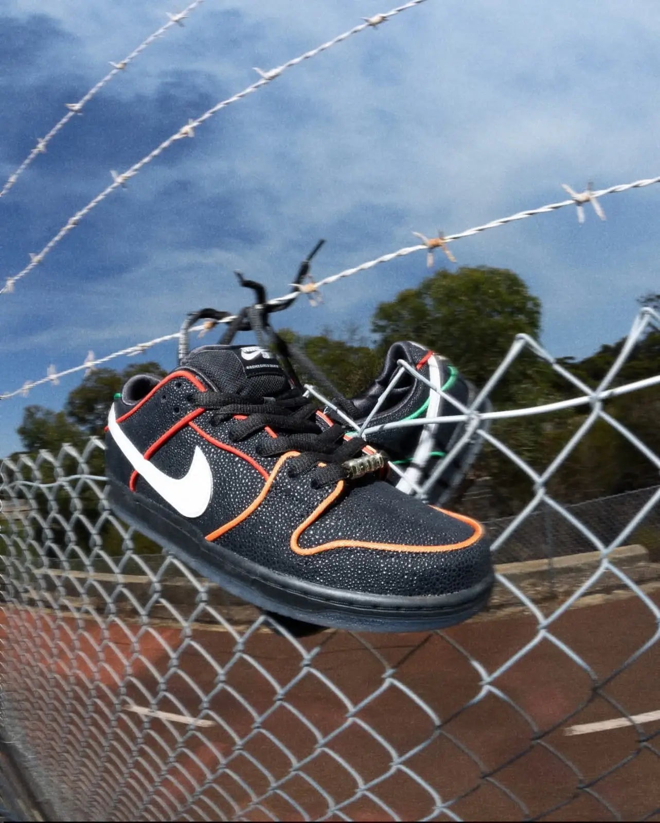 Nikee Sb Dunk X Bronx Skate